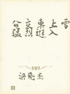 公交车上雪柔被猛烈进入