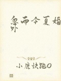 忽而今夏婚后番外