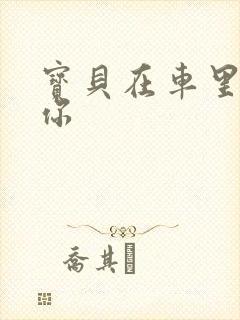 宝贝在车里想要你