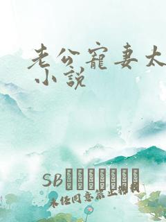 老公宠妻太甜蜜 小说