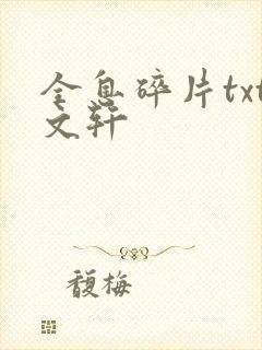 全息碎片txt文轩