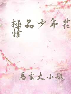 极品少年花都燃情