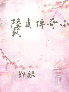 陆贞传奇小说下载