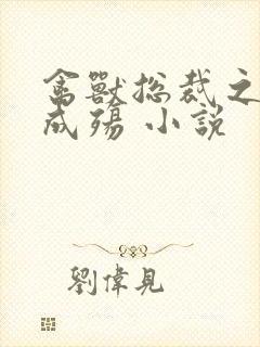 禽兽总裁之虐爱成殇 小说