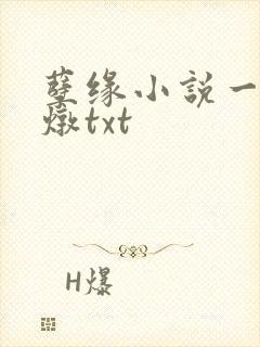 孽缘小说一家乱炖txt