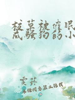 校草被催眠洗脑成骚狗的小说