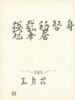 总裁的替身前妻冠华居