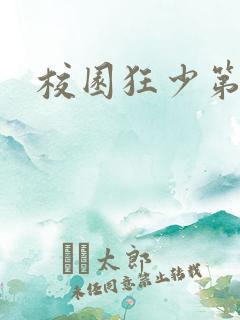 校园狂少第二部