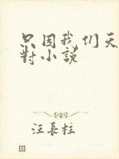 只因我们天生一对小说