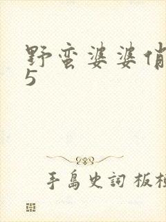 野蛮婆婆俏媳妇5