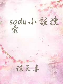 sodu小说搜索