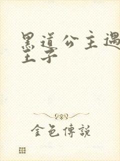 黑道公主遇冷酷王子