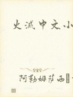 火灭中文小说