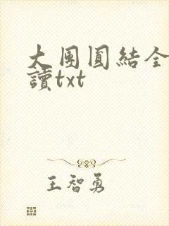 大团圆结全文阅读txt
