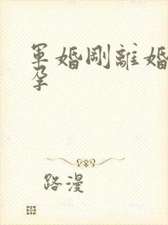 军婚刚离婚就怀孕