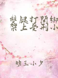 双腿打开绑在刑架上受刑小说