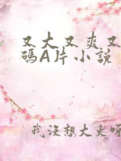 又大又爽又黄无码A片小说