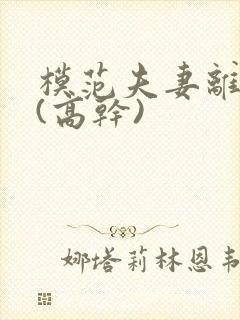 模范夫妻离婚了(高干)