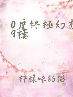 0度终极幻想19楼