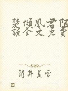 楚倾凰君陌尘小说全文免费阅读