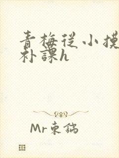 青梅从小摸到大补课h