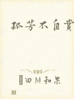 孤芳不自赏小说