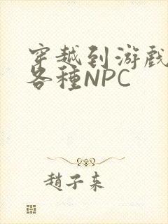 穿越到游戏里和各种NPC