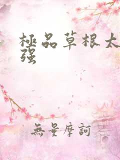 极品草根太子张强