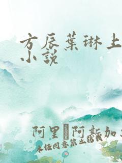 方辰叶琳上官步小说