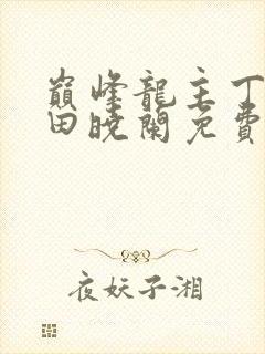 巅峰龙主丁长顺田晓兰免费阅读