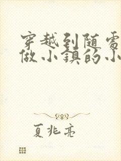 穿越到随处可以做小镇的小说