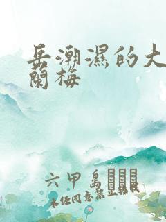 岳潮湿的大肥赵兰梅