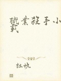 职业杀手小说下载