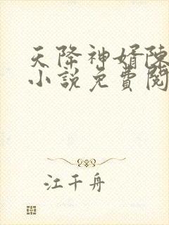 天降神婿陈黄皮小说免费阅读