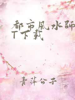 都市风水师TXT下载