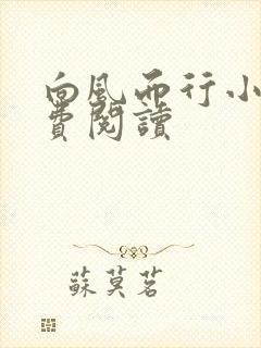 向风而行小说免费阅读