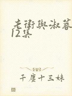 老卫与淑蓉1一12集