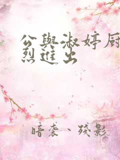 公与淑婷厨房猛烈进出