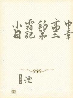 小霜的高中成长日记第三章