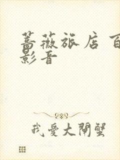 蔷薇旅店 百度影音