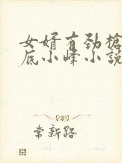 女婿有劲枪枪到底小峰小说