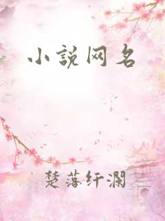 小说网名