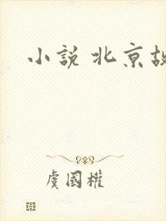 小说 北京故事