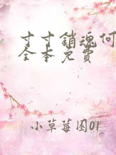 寸寸销魂何生祥全本免费