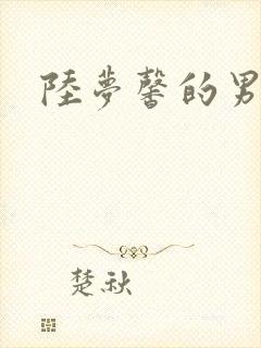 陆梦馨的男朋友