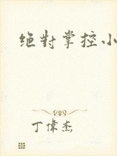 绝对掌控小说