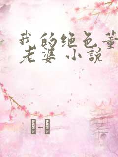 我的绝色董事长老婆 小说