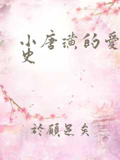 小唐璜的爱情历史