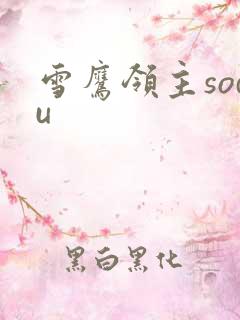 雪鹰领主sodu