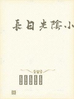 长日光阴小说
